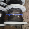 Flanged Rubber Expansion Joint Flexible Piping for Water treatment