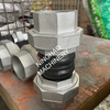 BSPT Rubber Expansion Joint with Threaded Ends